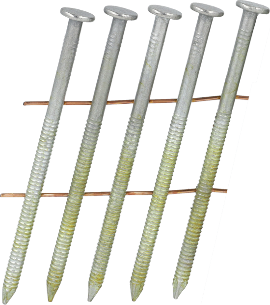 GLxxASBF-CN-ANGLE_01.psd