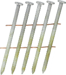 GLxxASBF-CN-ANGLE_01.psd