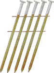 HLxxASBF-CN-ANGLE_01.psd